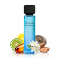 Beach Afternoon by Assaf Eau de Parfum – for everyone